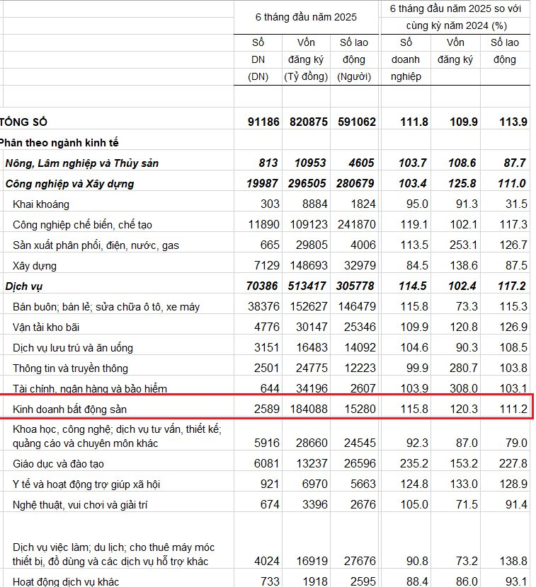 91.000 doanh nghiệp thành lập mới nửa đầu năm nay, 821.00 tỷ vốn đăng ký: Bất động sản góp vốn lớn nhất- Ảnh 2.