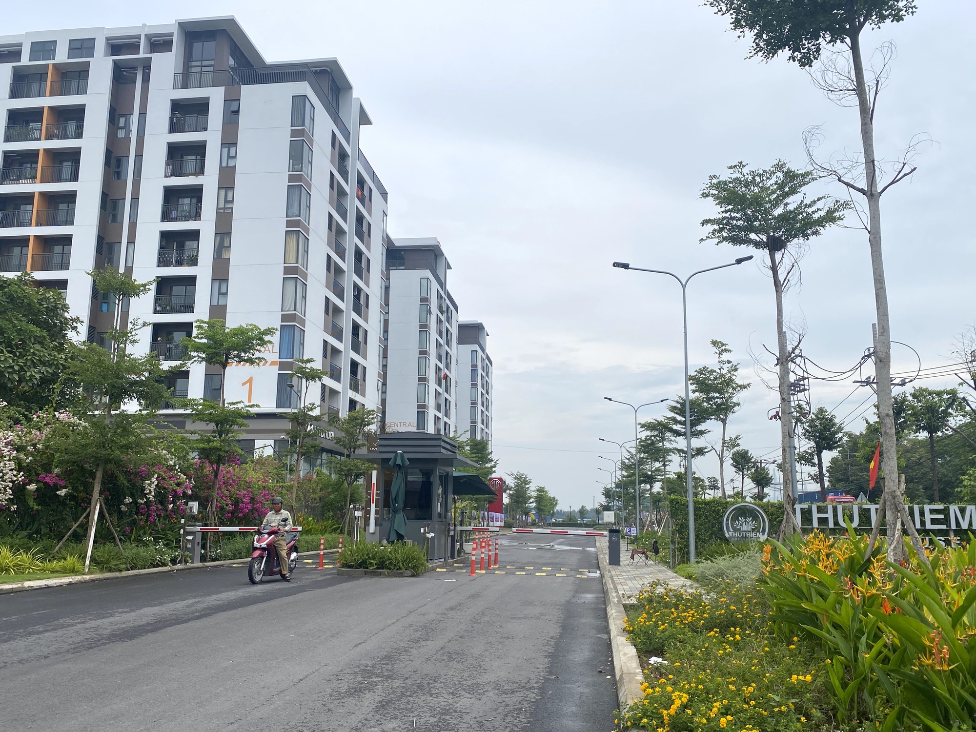 TP HCM sẽ thành lập Ban chỉ đạo phát triển nhà ở xã hội- Ảnh 1.
