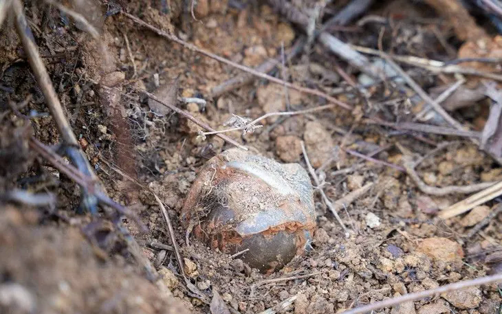 Kịp thời xử lý 3 quả bom chùm trong khu vực dân cư ở Quảng Trị - Ảnh 1.