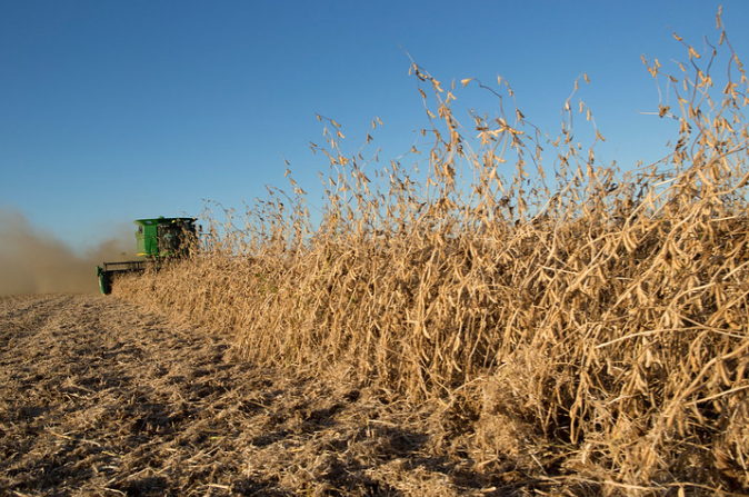 Không phải dầu thô hay khí đốt, Nga bất ngờ giảm thuế xuất khẩu một mặt hàng xuống 0%, là ‘vũ khí’ nông sản Moscow đứng đầu thế giới - Ảnh 1.