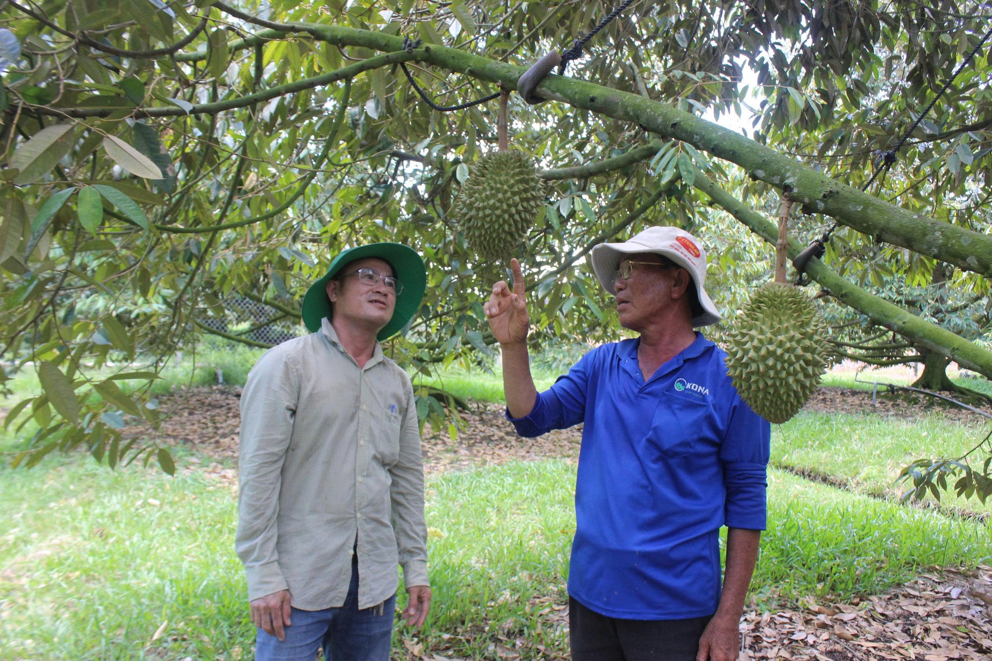 Loạt dự án chiến lược ở Tây Ninh được chấp thuận chủ trương đầu tư- Ảnh 1.