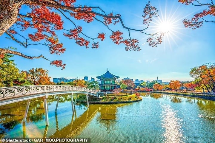 Bạn có thể bị phạt hàng tỷ đồng nếu chụp ảnh selfie tại các điểm du lịch này