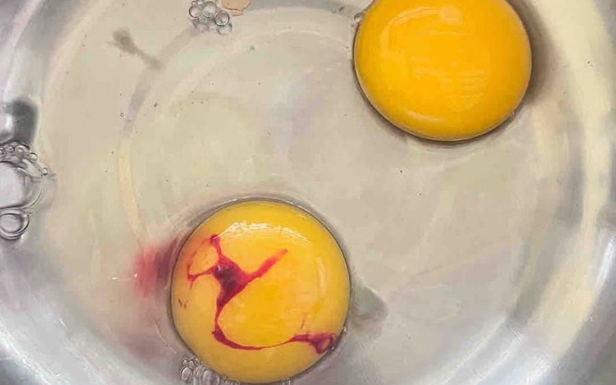 2 loại trứng gà nhiễm khuẩn
