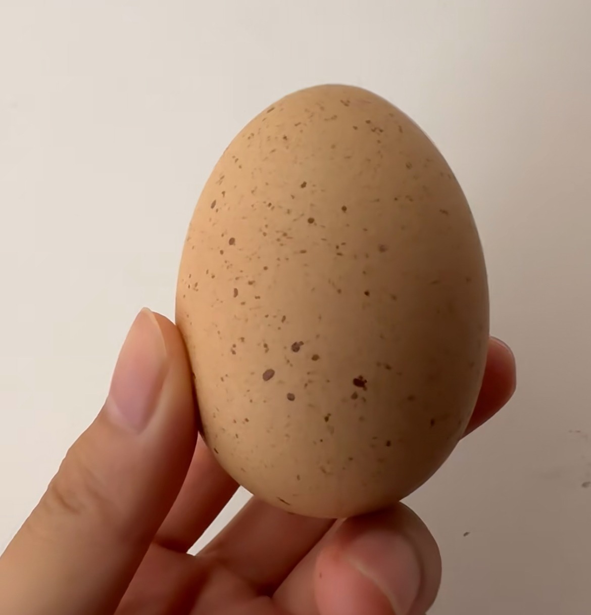 2 loại trứng gà nhiễm khuẩn