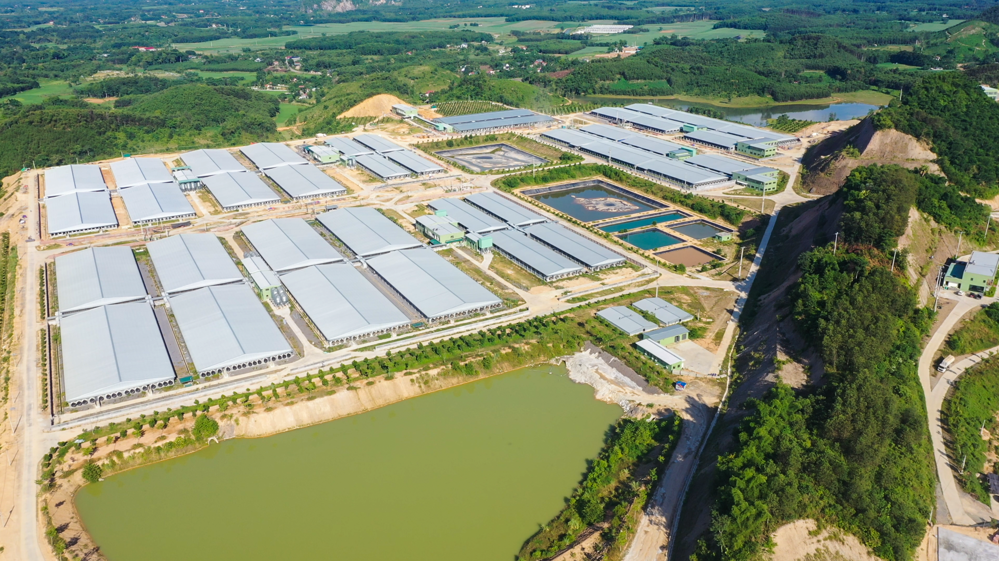 2 doanh nghiệp xin xây 'chung cư nuôi heo': Một bên top 5 thị phần heo hơi, một bên đại gia năng lượng rẽ hướng - Ảnh 3.