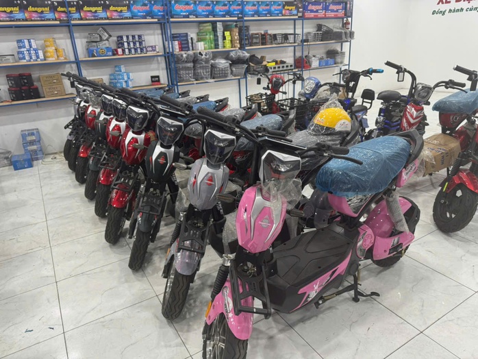Xe máy điện giả, kém chất lượng tái xuất: Cẩn trọng trước cơn sốt chuyển đổi xe xăng- Ảnh 1.