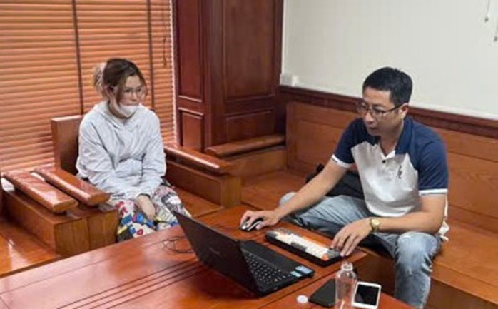 Triệt phá đường dây mang thai hộ xuyên quốc gia, giải cứu 11 trẻ sơ sinh- Ảnh 1.