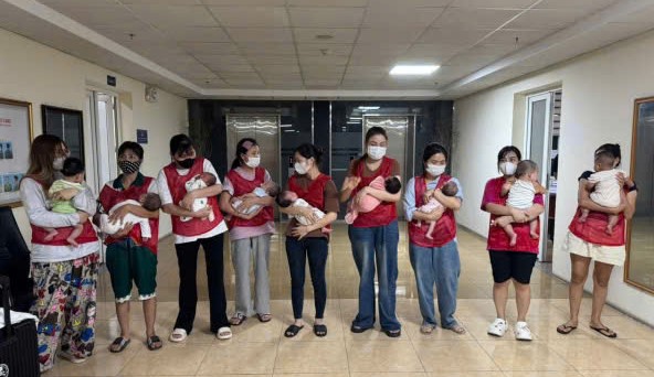 Triệt phá đường dây mang thai hộ xuyên quốc gia, giải cứu 11 trẻ sơ sinh- Ảnh 2.