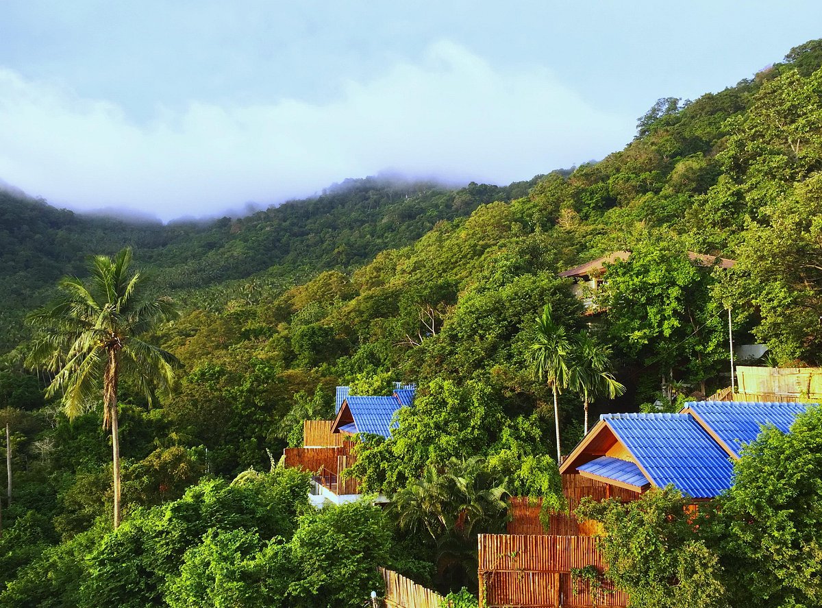 Bỏ 20 tỷ mua biệt thự, 6 năm sau giá tăng hơn 40 tỷ, người đàn ông nhận ra: "Tài sản giá trị lớn chưa chắc đã đem lại cuộc sống tốt" - Ảnh 1.