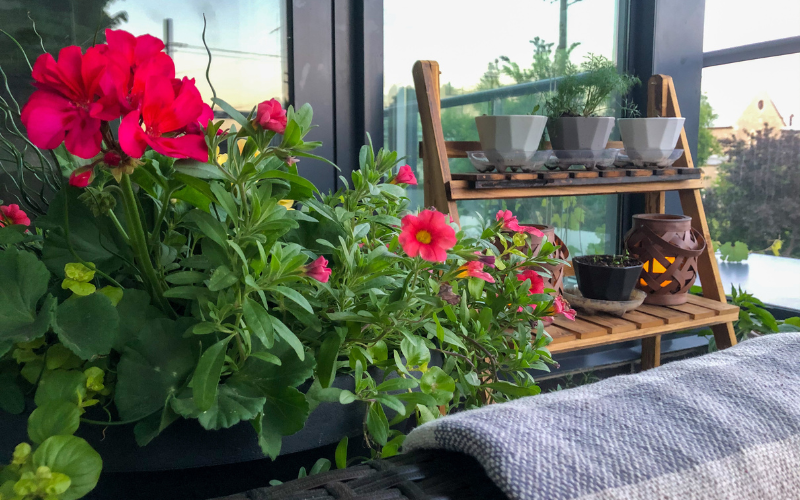 Nhà chung cư xuất hiện 6 dấu hiệu này, phong thủy cực vượng, gia chủ sắp phát tài!- Ảnh 1.