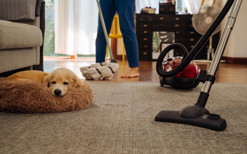 Nhà chung cư xuất hiện 6 dấu hiệu này, phong thủy cực vượng, gia chủ sắp phát tài!- Ảnh 2.