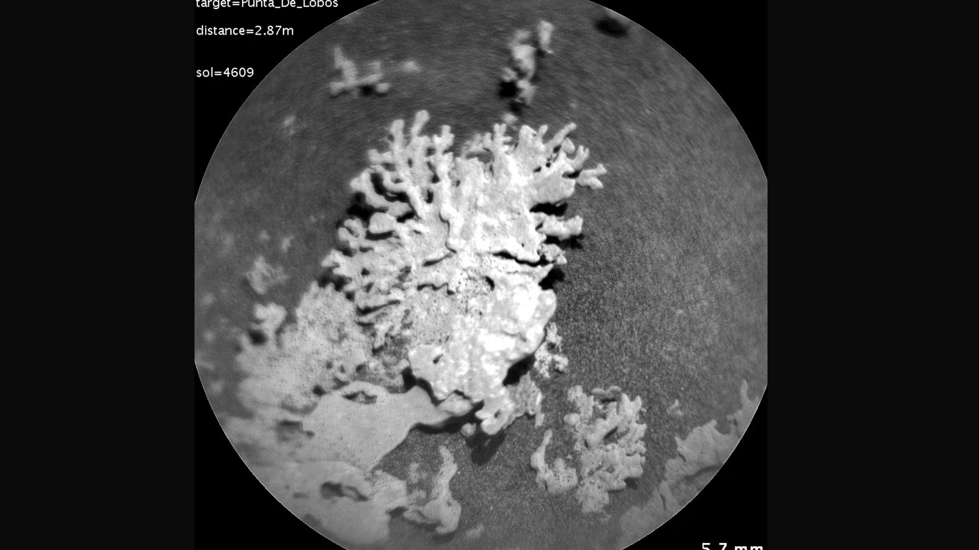 NASA phát hiện thứ giống y sinh vật Trái Đất trên Sao Hỏa - Ảnh 1.