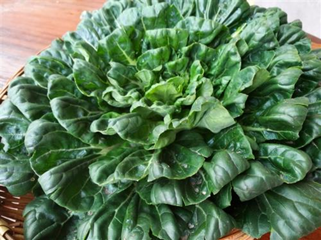 3 loại rau "ngậm thuốc trừ sâu" nhiều nhất chợ, người bán cũng không dám ăn- Ảnh 1.