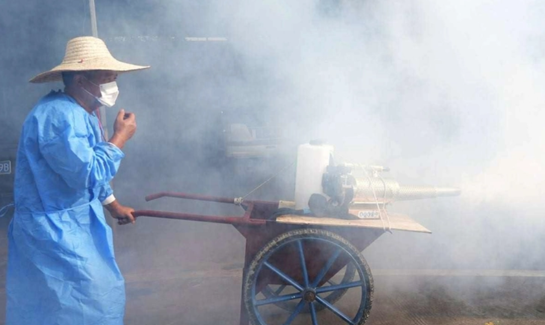 Hiểu rõ về virus Chikungunya: 7 ngày ủ bệnh, 5 triệu chứng và 3 bước điều trị tại nhà