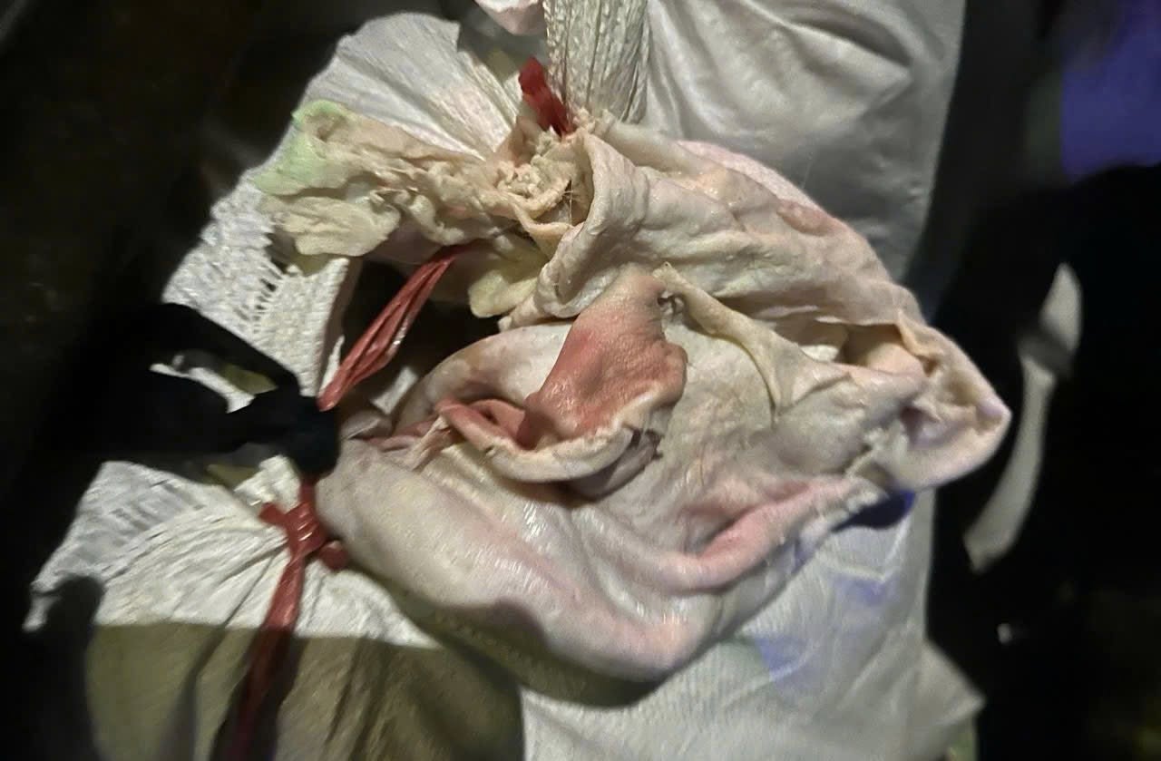 Kinh hãi hàng chục bao tải bốc mùi hôi nồng nặc trên chiếc xe tải có biểu hiện bất thường lúc sáng sớm- Ảnh 3. Kinh hãi hàng chục bao tải bốc mùi hôi nồng nặc trên chiếc xe tải có biểu hiện bất thường lúc sáng sớm- Ảnh 3.