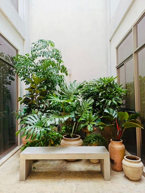 Ông bà dặn kỹ: Ngôi nhà có 4 dấu hiệu này là "điềm báo", con cháu coi chừng may mắn bay mất - Ảnh 1.