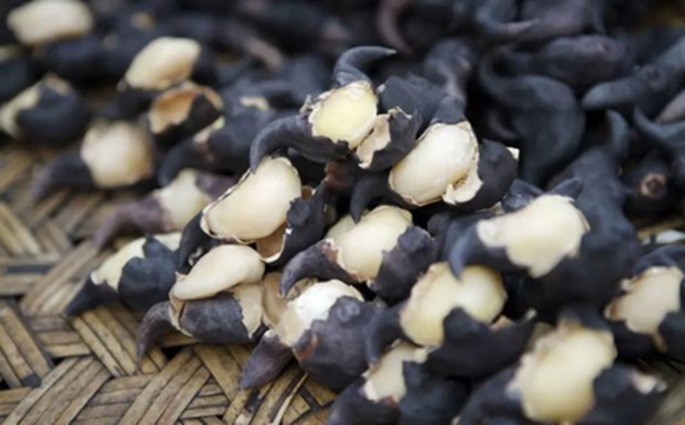 5 loại rau chứa "cả ổ sâu ẩn", ăn sống tương đương nuốt hết ký sinh trùng vào bụng- Ảnh 3.