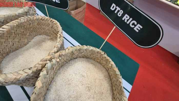 Thông tin mới nhất về việc Philippines tạm ngừng nhập khẩu gạo- Ảnh 1. Thông tin mới nhất về việc Philippines tạm ngừng nhập khẩu gạo- Ảnh 1.