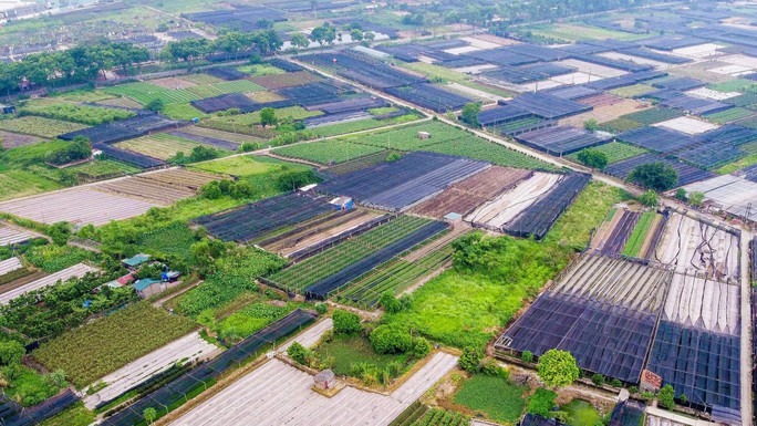 Nhiều quy định mới về đất đai có hiệu lực từ ngày 15-8 - Ảnh 1.