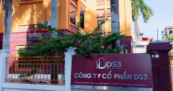 DS3 dính loạt vi phạm công bố thông tin, bị phạt 120 triệu đồng - Ảnh 1.