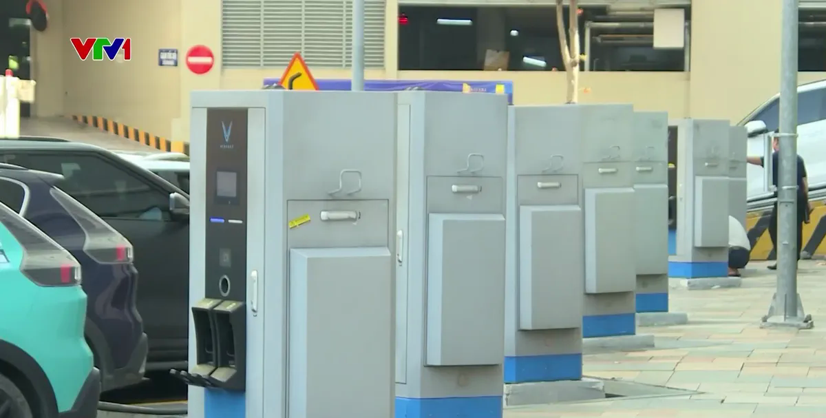 Hà Nội tổng rà soát ô tô, xe máy xăng dầu- Ảnh 1.