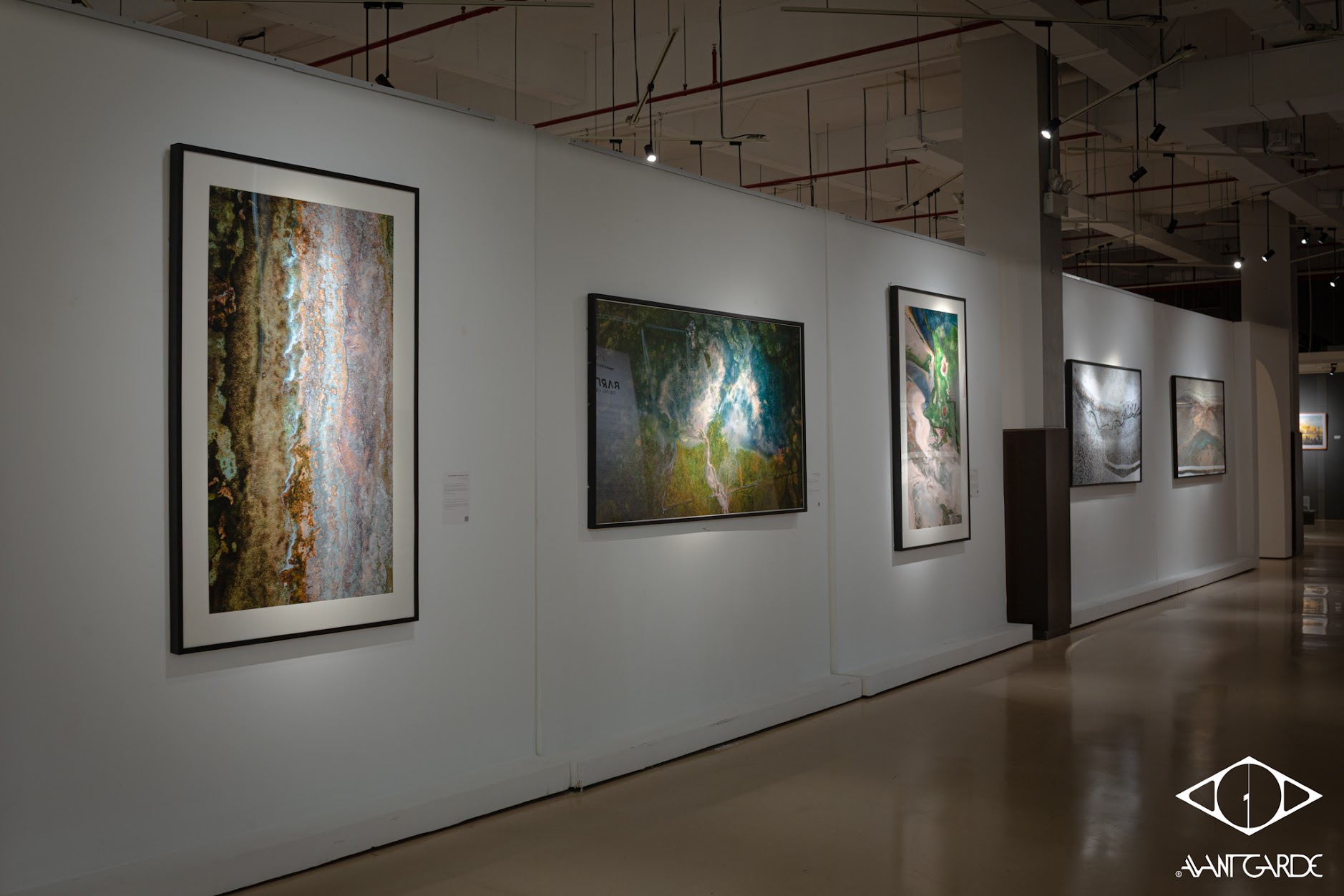 Triển lãm Bardo - Trung Giới: ‘Lằn ranh giữa băng và đất, giữa tôi và thế giới’ của Hoàng Lê Giang - Ảnh 2.