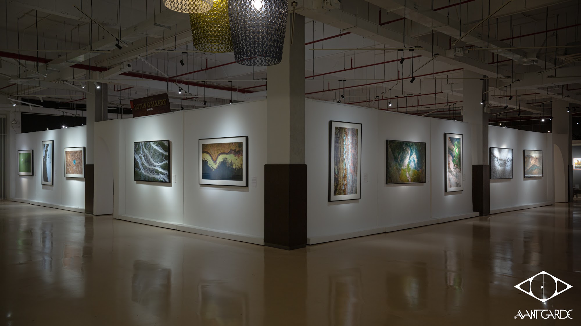 Triển lãm Bardo - Trung Giới: ‘Lằn ranh giữa băng và đất, giữa tôi và thế giới’ của Hoàng Lê Giang - Ảnh 3.