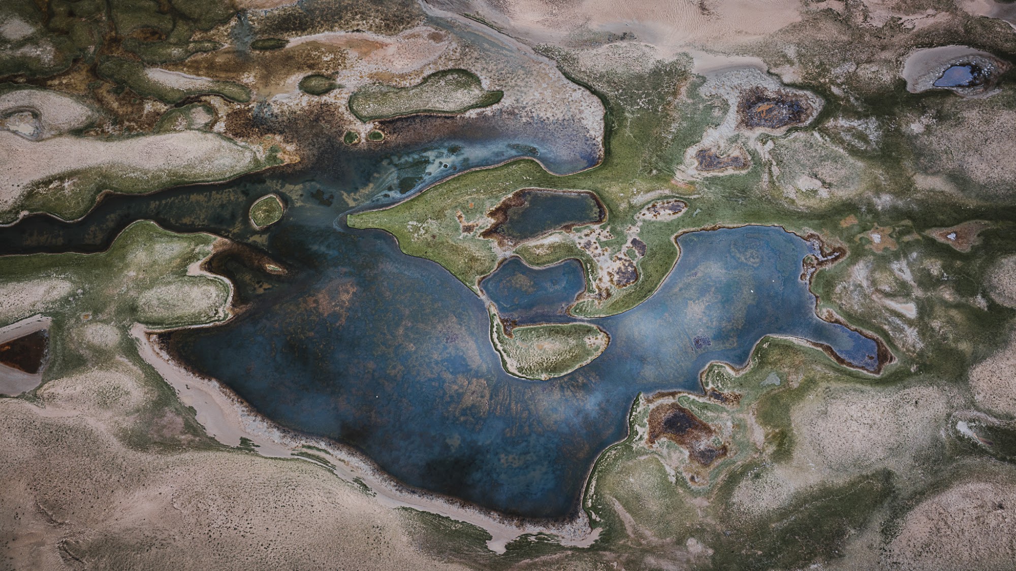 Triển lãm Bardo - Trung Giới: ‘Lằn ranh giữa băng và đất, giữa tôi và thế giới’ của Hoàng Lê Giang - Ảnh 6.