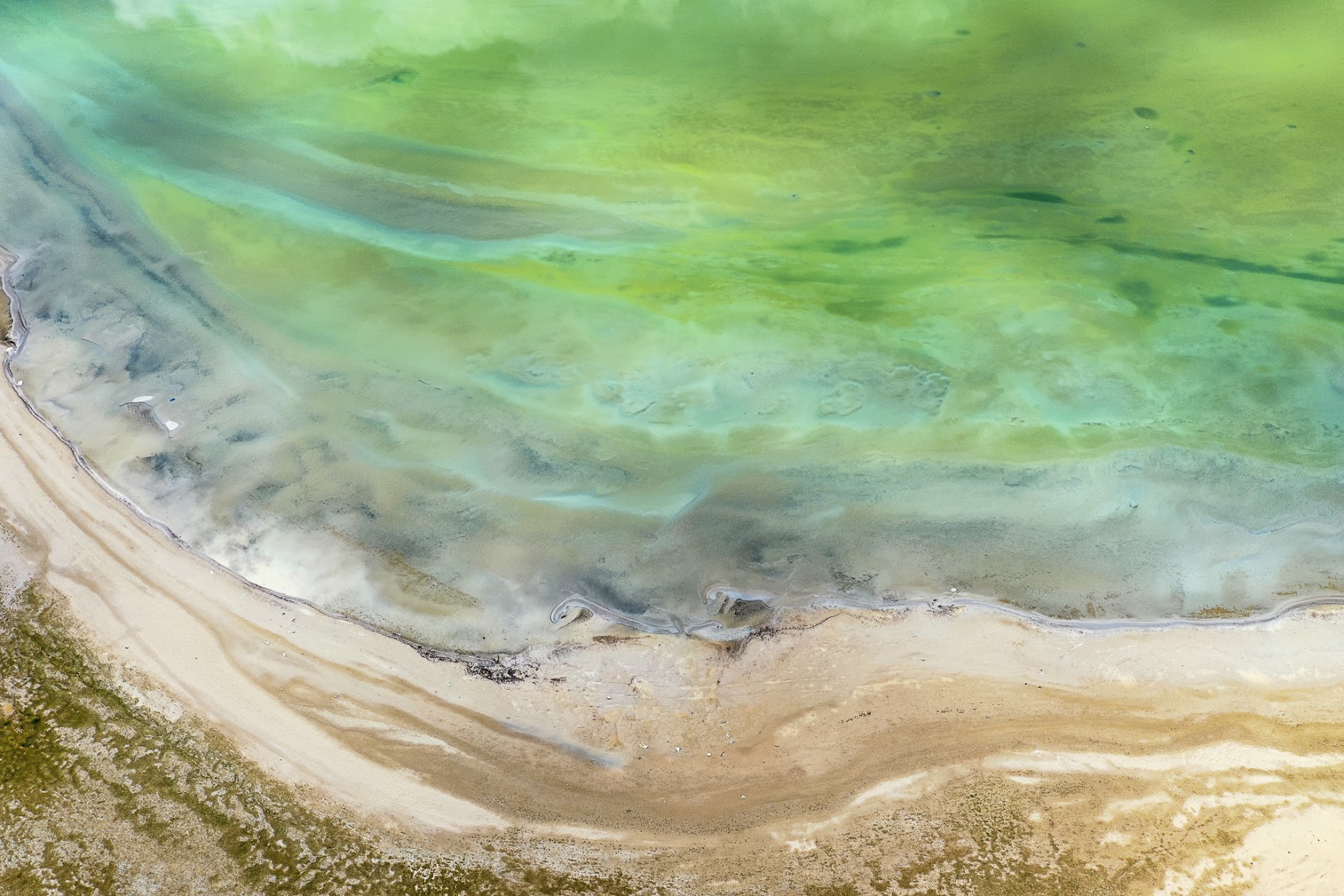 Triển lãm Bardo - Trung Giới: ‘Lằn ranh giữa băng và đất, giữa tôi và thế giới’ của Hoàng Lê Giang - Ảnh 8.