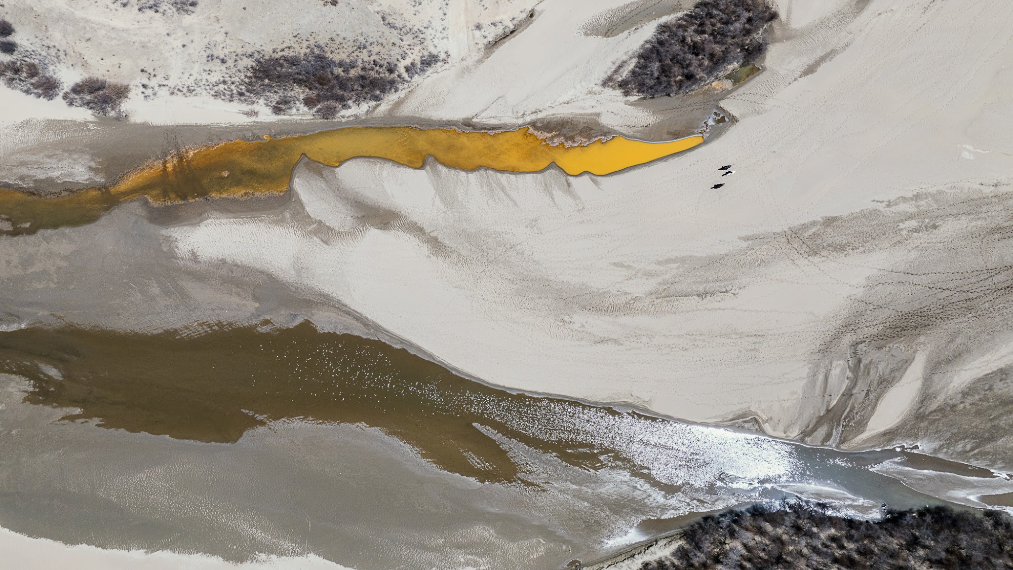 Triển lãm Bardo - Trung Giới: ‘Lằn ranh giữa băng và đất, giữa tôi và thế giới’ của Hoàng Lê Giang - Ảnh 10.