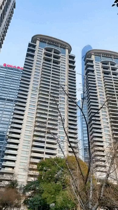 Bủn rủn tay chân trước chung cư của giới siêu giàu: Căn phèn nhất giá 300 tỷ, giúp việc lái Mercedes đi chợ, Huỳnh Hiểu Minh là cư dân!- Ảnh 2. Bủn rủn tay chân trước chung cư của giới siêu giàu: Căn phèn nhất giá 300 tỷ, giúp việc lái Mercedes đi chợ, Huỳnh Hiểu Minh là cư dân!- Ảnh 2.