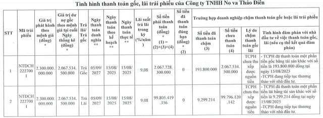Công ty con của Novaland 