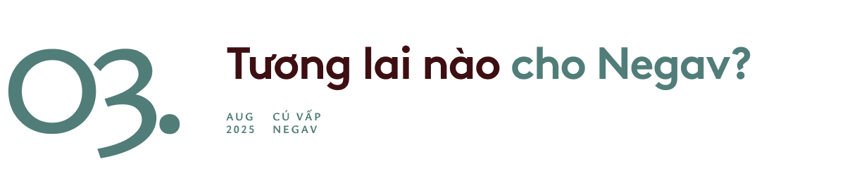 Cú vấp Negav- Ảnh 9.