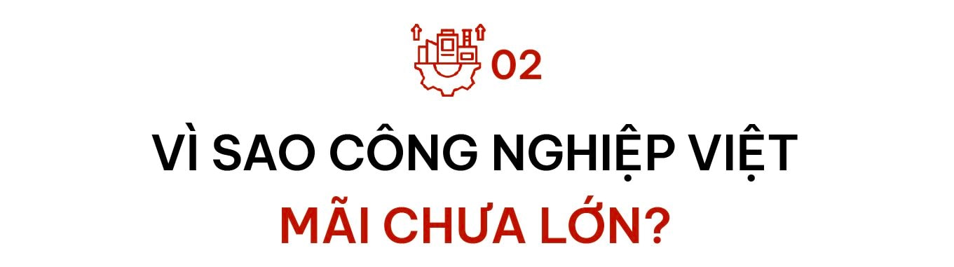 TS. Lê Xuân Nghĩa: VinFast, Trường Hải, Hòa Phát... đều đang mở đường, nhưng Việt Nam vẫn thiếu cú hích để công nghiệp hóa thật sự- Ảnh 4.