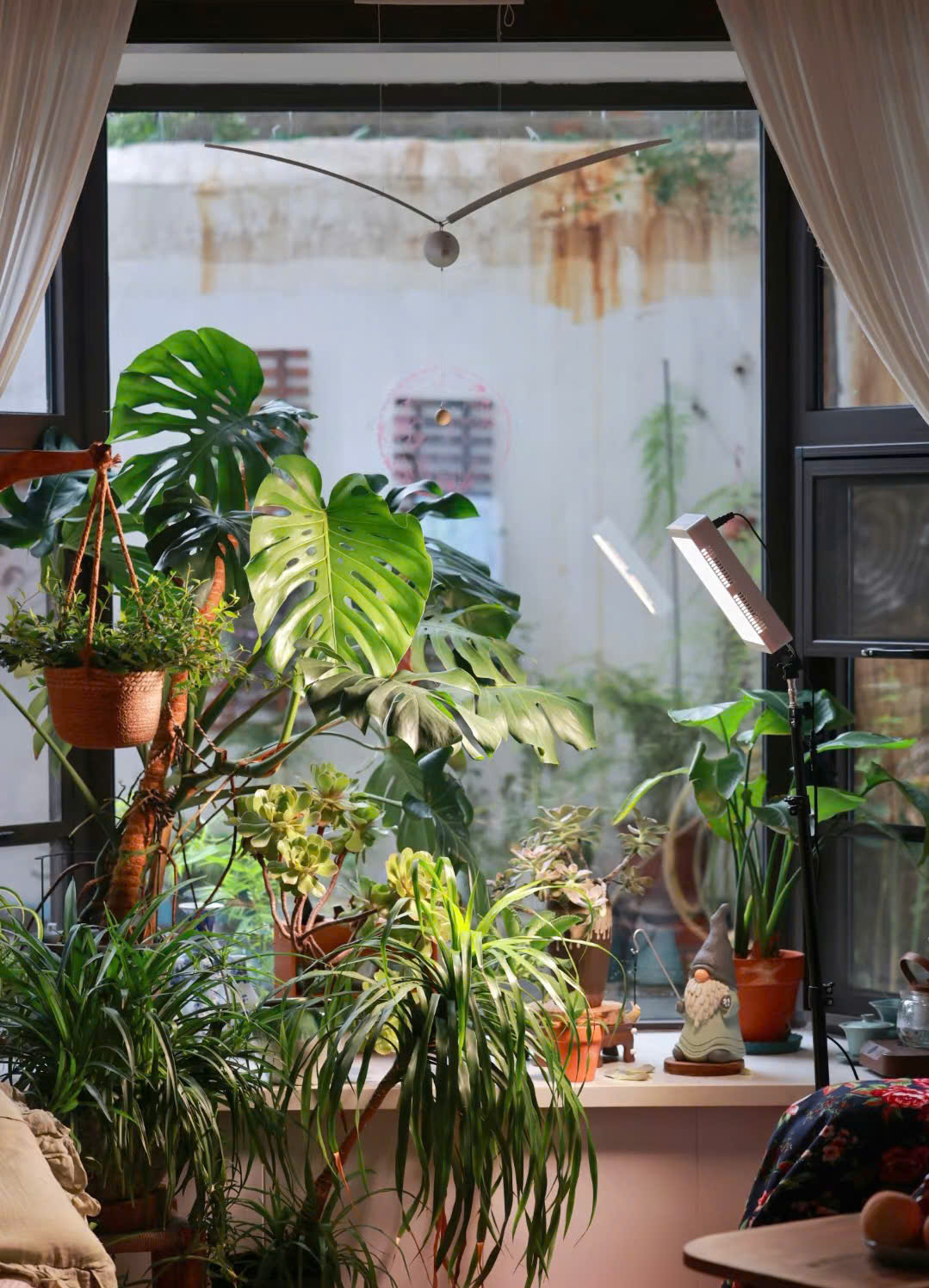 Căn nhà 100m2 của người phụ nữ sinh năm 1975 không lương hưu, không con cái gây kinh ngạc- Ảnh 2. Căn nhà 100m2 của người phụ nữ sinh năm 1975 không lương hưu, không con cái gây kinh ngạc- Ảnh 2.