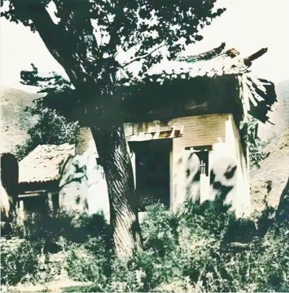 Ảnh hiếm 100 năm trước hé lộ 'hình dáng gốc' của Thiếu Lâm Tự: Sau biến cố bất ngờ đã hồi sinh từ tro tàn- Ảnh 3.