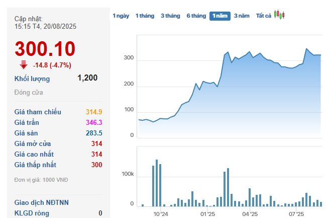 Doanh nghiệp Việt nắm loại khoáng sản được cả thế giới săn lùng sắp "dốc hầu bao" trả cổ tức 4.500 đồng/cp- Ảnh 4.