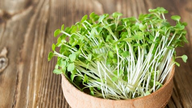 Nhật Bản công bố 5 thực phẩm nên ăn hằng ngày: Trứng chỉ đứng thứ 5, “vua dinh dưỡng” gọi tên món này- Ảnh 4.