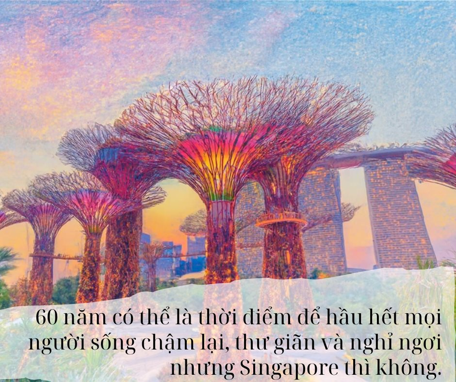 Từ bãi lầy trở thành siêu cường kinh tế, quốc gia ĐNÁ này giờ đây đối mặt thách thức “sống còn” ở tuổi 60- Ảnh 6.