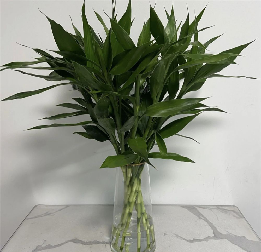 Chuyển về tổ ấm mới, hãy nhớ 10 điều này để gia đạo an khang, tài vận hưng thịnh- Ảnh 5. Chuyển về tổ ấm mới, hãy nhớ 10 điều này để gia đạo an khang, tài vận hưng thịnh- Ảnh 5.