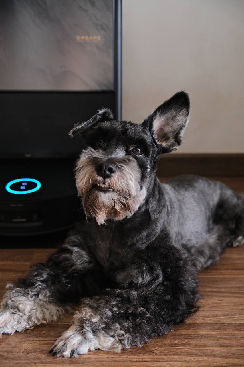 Robot hút bụi Dreame Aqua 10 Pro Track giá hơn 30 triệu đồng có gì mà được ví là ‘người giúp việc thầm lặng’ trong nhà?- Ảnh 12.