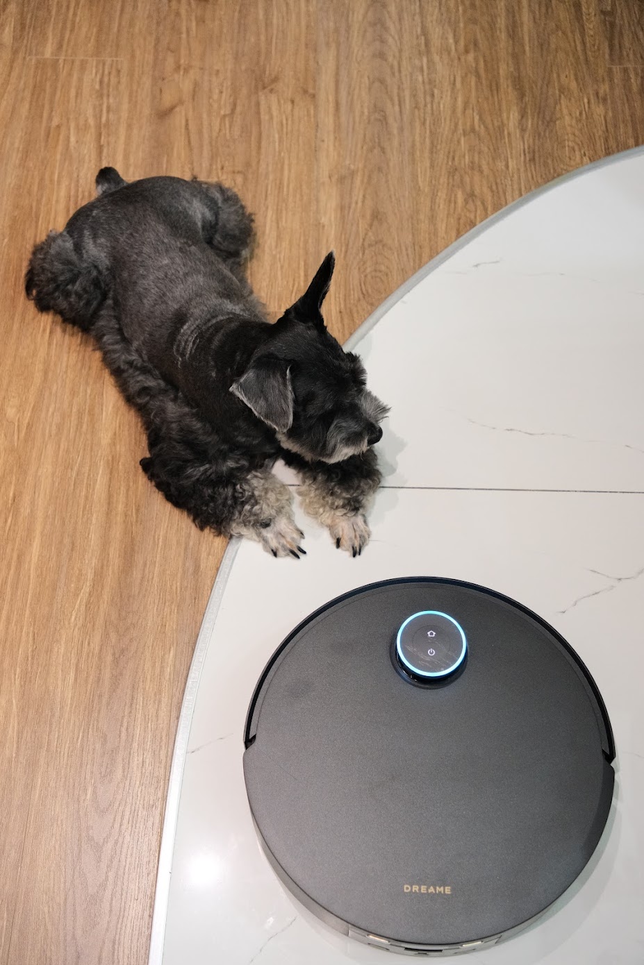 Robot hút bụi Dreame Aqua 10 Pro Track giá hơn 30 triệu đồng có gì mà được ví là ‘người giúp việc thầm lặng’ trong nhà?- Ảnh 16.
