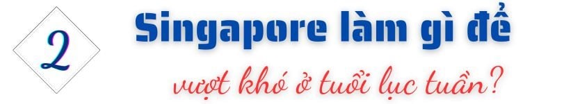 Từ bãi lầy trở thành siêu cường kinh tế, quốc gia ĐNÁ này giờ đây đối mặt thách thức “sống còn” ở tuổi 60- Ảnh 5.