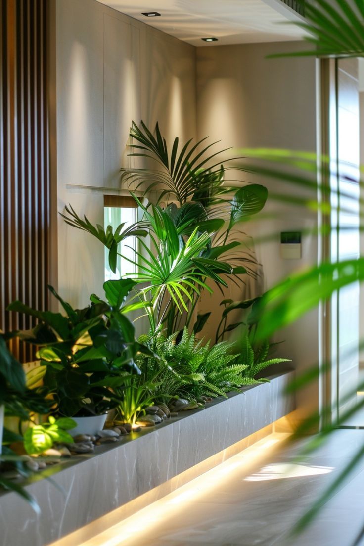 Ông bà bảo: "Khí tốt thì người vượng, cửa sạch thì nhà hưng" - 3 dấu hiệu vàng ròng cho thấy ngôi nhà tụ phúc - Ảnh 1. Ông bà bảo: "Khí tốt thì người vượng, cửa sạch thì nhà hưng" - 3 dấu hiệu vàng ròng cho thấy ngôi nhà tụ phúc - Ảnh 1.