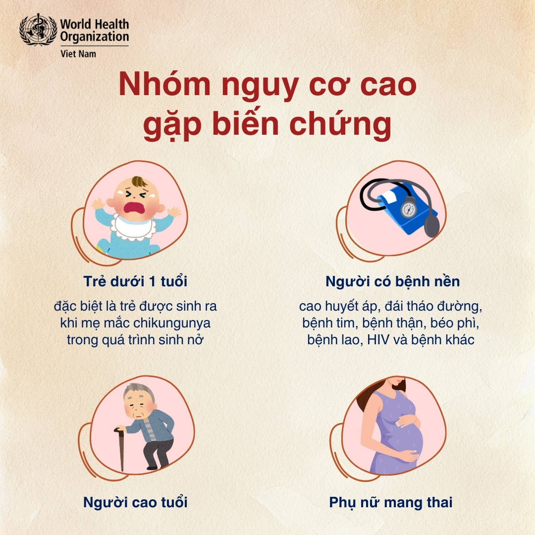 Infographic: Các triệu chứng của bệnh chikungunya - Ảnh 3.