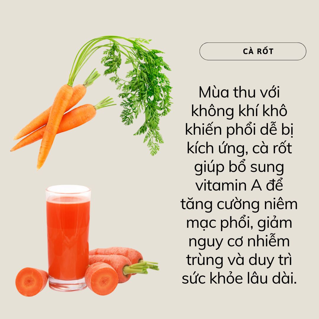 - Ảnh 2.