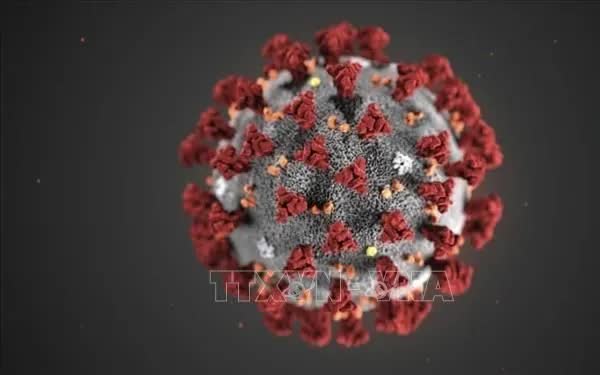 COVID-19 có thể khiến mạch máu phụ nữ lão hóa nhanh trước 5 năm - Ảnh 1.