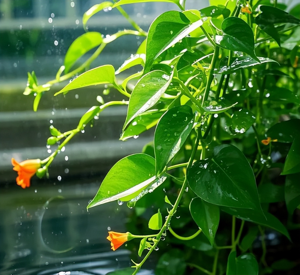 Nhìn 8 dấu hiệu này, biết ngay nhà bạn có mang lại phúc khí và tài lộc không- Ảnh 1.