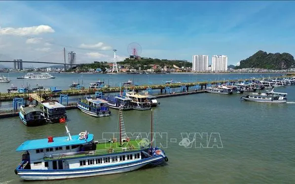 Quảng Ninh tạm ngừng cấp phép cho phương tiện thủy ra khơi - Ảnh 1.