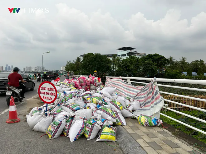 Công nhân gấp rút cải tạo hồ Sen, chuẩn bị “hồi sinh” dòng chảy về hồ Tây- Ảnh 7. Công nhân gấp rút cải tạo hồ Sen, chuẩn bị “hồi sinh” dòng chảy về hồ Tây- Ảnh 7.
